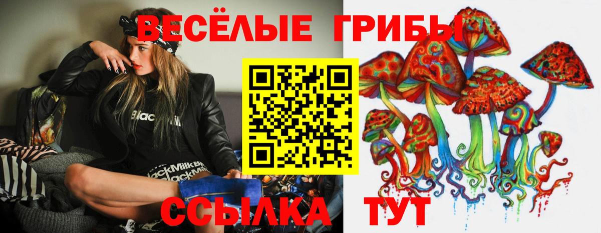 Псилоцибиновые грибы Psilocybe Коряжма