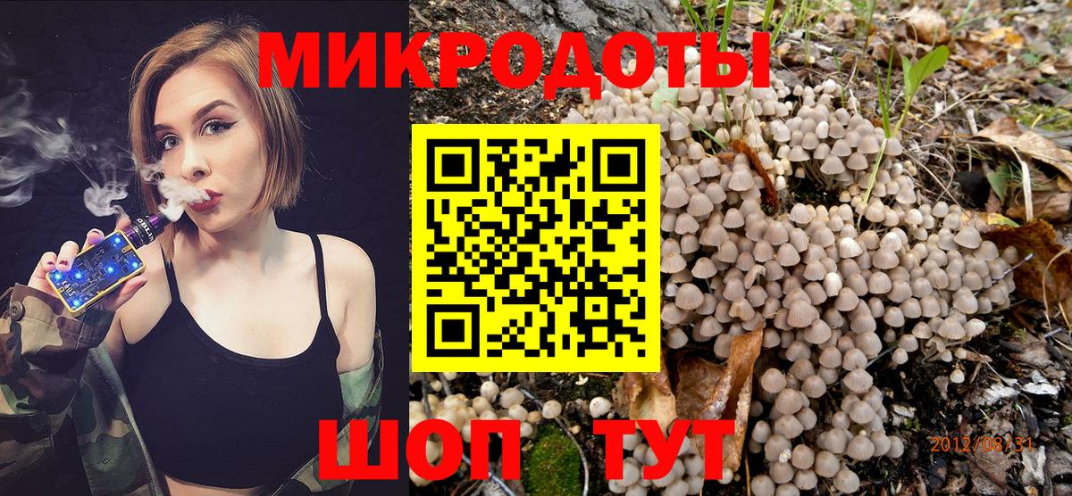 Псилоцибиновые грибы GOLDEN TEACHER  Вход с VPN  Коряжма 